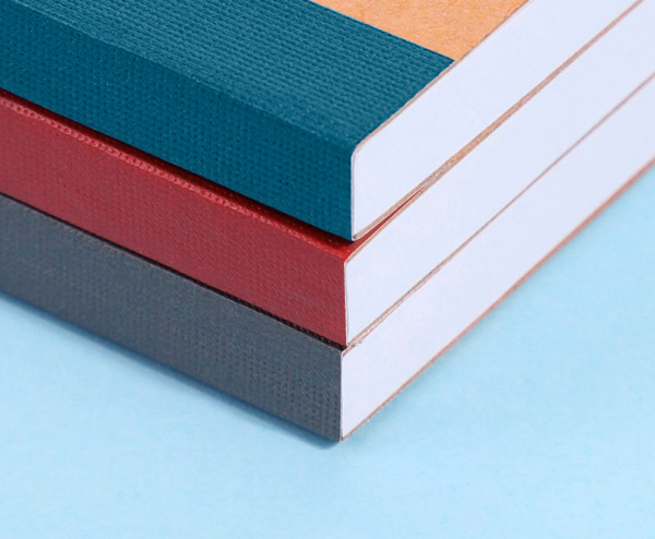 Тетрадь Deli 23215 B5 100л линейка ассорти