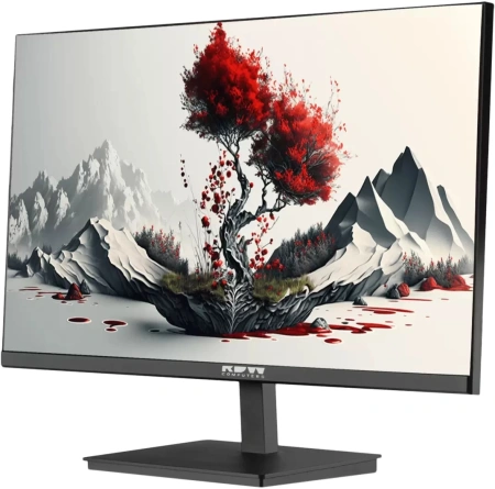 Монитор RDW Computers 23.8" RDW2401K черный IPS 5ms 16:9 HDMI матовая HAS Piv 1000:1 300cd 178гр/178гр 1920x1080 120Hz VGA DP FHD 4.185кг (RUS)