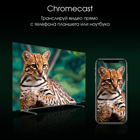 Телевизор OLED Digma Pro 55" OLED 55M Google TV Frameless черный/серебристый 4K Ultra HD 120Hz DVB-T DVB-T2 DVB-C DVB-S DVB-S2 USB WiFi Smart TV